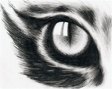 Eye of a cat by hitforsa | Cat eyes drawing, Cat eye tattoos, Eye art