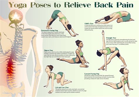 How to relieve back pain: 6 best yoga poses - Eco Health Lab