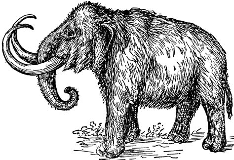 Mammoth | ClipArt ETC