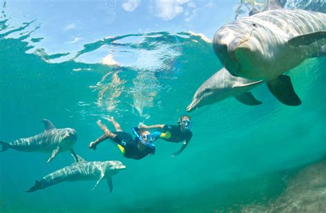 Atlantis vs. Baha Mar: Which Bahamas Resort Is Best for Your Family? | Family Vacation Critic