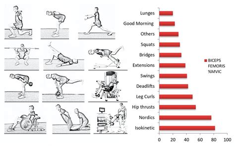 How To Workout Biceps Femoris Muscle | Kayaworkout.co