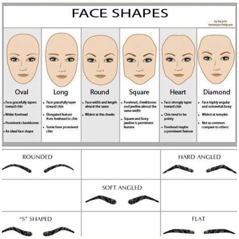 Pin by Luisa Gutiérrez on Knowledge | Eyebrows for face shape, Face shapes, Eyebrows for oval face