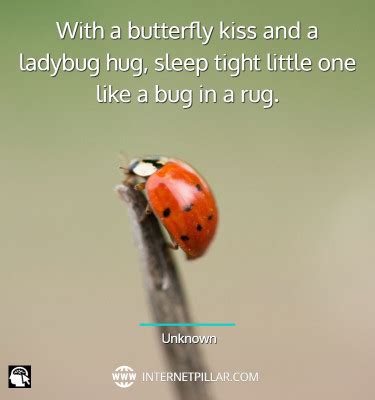 53 Ladybug Quotes, Sayings and Captions for Good Fortune