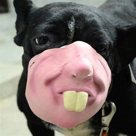 Human Face Masks: The Creepiest Dog Muzzles Ever