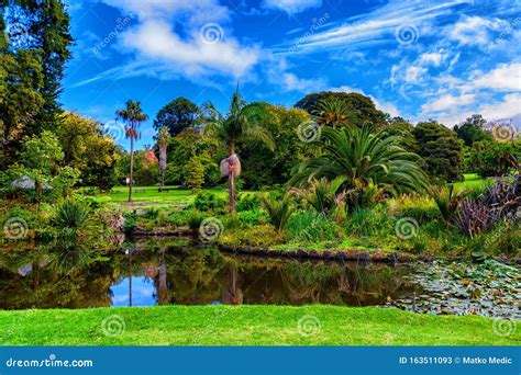 Lake in Autumn in Royal Botanic Gardens, Melbourne Stock Image - Image of victoria, australia ...