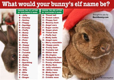 Best Names For Rabbits As Pets | ABOUT PETS