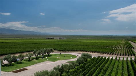 Private Mendoza Wine Tours | Wine tastings & Lunch