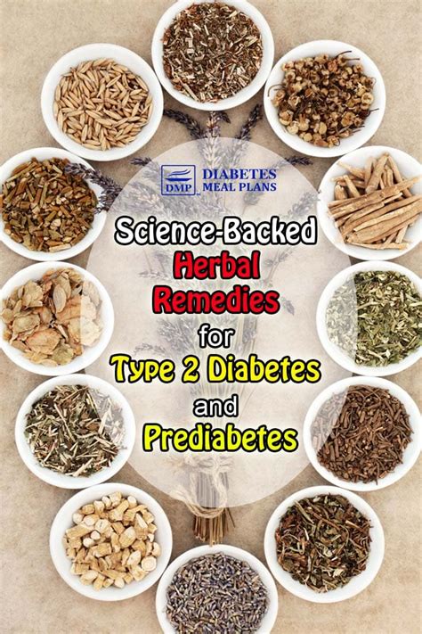 Science-Backed Herbal Remedies for Diabetes and Prediabetes