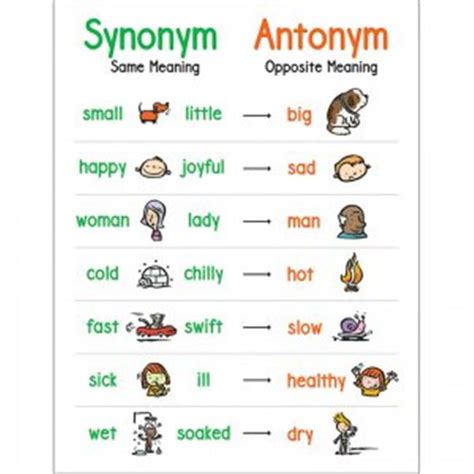 Anchor Chart Synonym & Antonym - Walmart.com