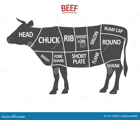 Cuts Beef Poster Butcher Diagram Cow Silhouette Isolated Meat Cuts Beef Cutting Scheme Vector ...