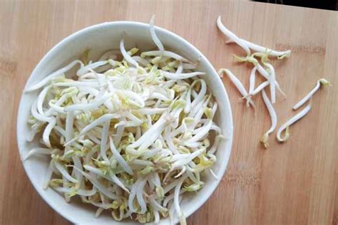 6 Health Benefits of Bean Sprouts You Should Know About - Unitary News