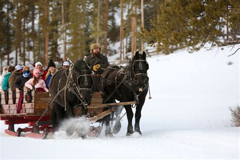 Sleigh Rides on 320 Ranch | 320 Guest Ranch