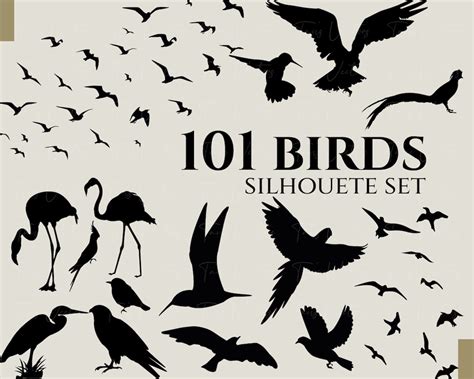 Birds Silhouette Set Bird Svg, Bird Silhouette, Flock of Birds, Swan Silhouette, Parrot Svg ...