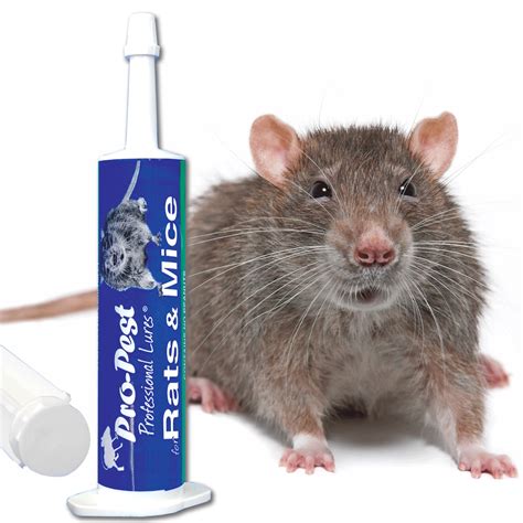 Pro-Pest Mice & Rats Lure - A Do It Yourself Pest Control Store