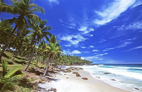 The Most Beautiful Beaches in Bahia