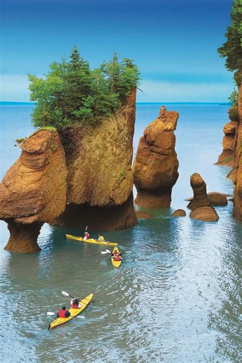 The top 10 attractions in New Brunswick | East coast travel, Fundy national park, Whale watching ...