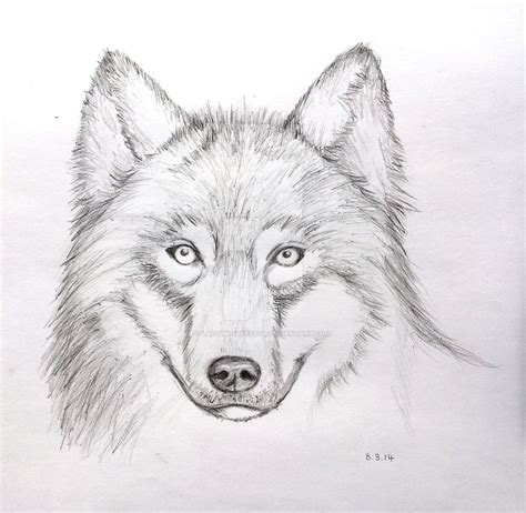 wolf face drawing - Google Search | Wolf face drawing, Wolf eye drawing, Face pencil drawing