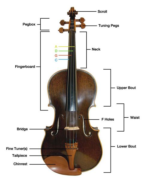 The Viola - Get-Tuned.com