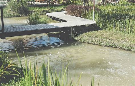 Wooden Bridge Across Pond In Garden Lake Bridge Pond Photo Background And Picture For Free ...