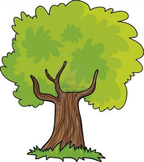 Jungle Trees Drawing - ClipArt Best