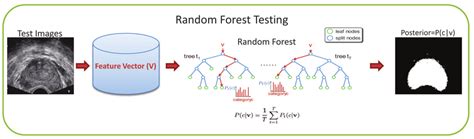 Random forest classification framework (a) Random forest training (b)... | Download Scientific ...