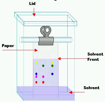 a. Solvent tank with analytical TLC plate | Download Scientific Diagram