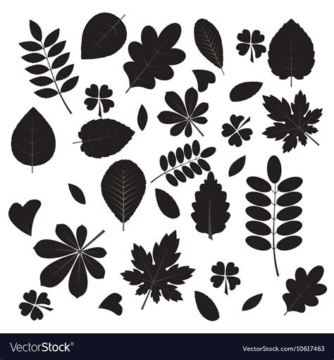 Collection of leaf silhouettes Royalty Free Vector Image