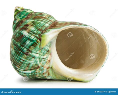 Hermit Crab Shell Stock Photo - Image: 24732310