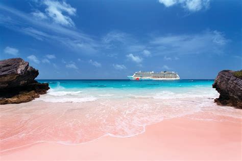 Bermuda's Best Bet: Pink Sand Beaches | NCL Travel Blog