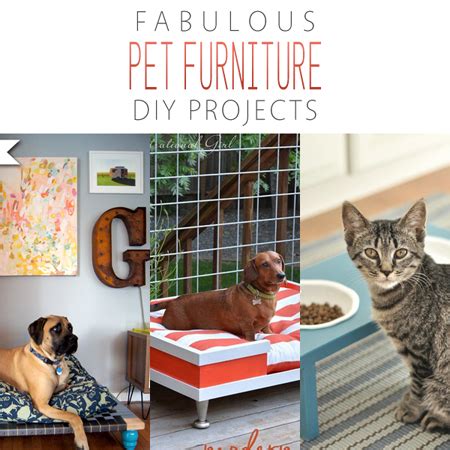 Fabulous Pet Furniture DIY Projects - The Cottage Market