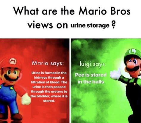 Mario Bros. Views | Know Your Meme