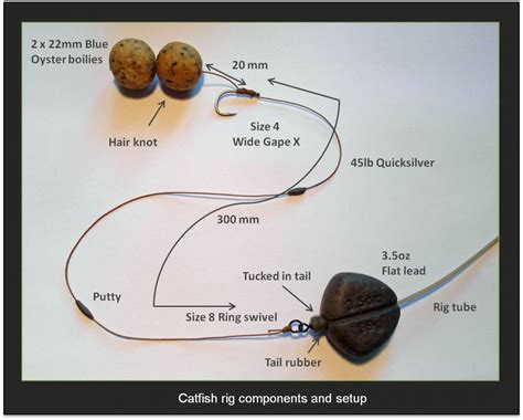 How to tie the best catfish rig for lakes