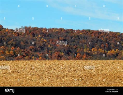 Fall Foliage in Pennsylvania Stock Photo - Alamy