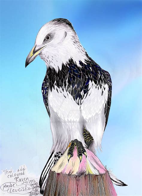 Leucistic Raven - nearby Haines Junction 1995 by PitVanCalvinII on ...