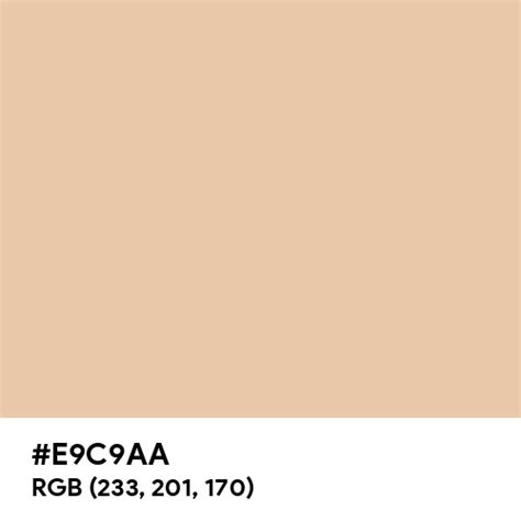 Pastel Tan color hex code is #E9C9AA