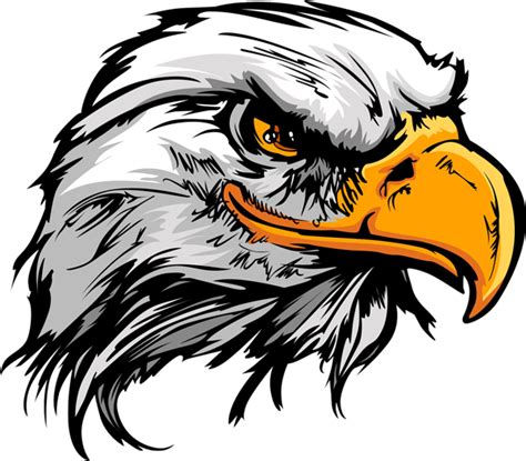 Eagle Head PNG Photo