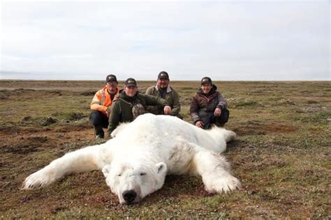 10-day CITES Polar Bear and Atlantic Walrus combination hunt in Nunavut Territory, Canada for one hu