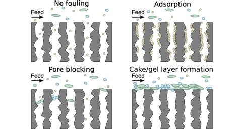 3 Schematic illustration of various types of fouling in membrane ...