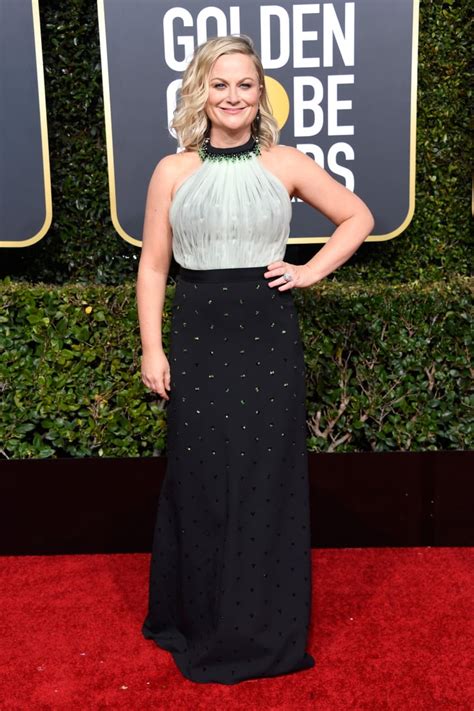 Amy Poehler at the 2019 Golden Globes | Golden Globes Red Carpet ...