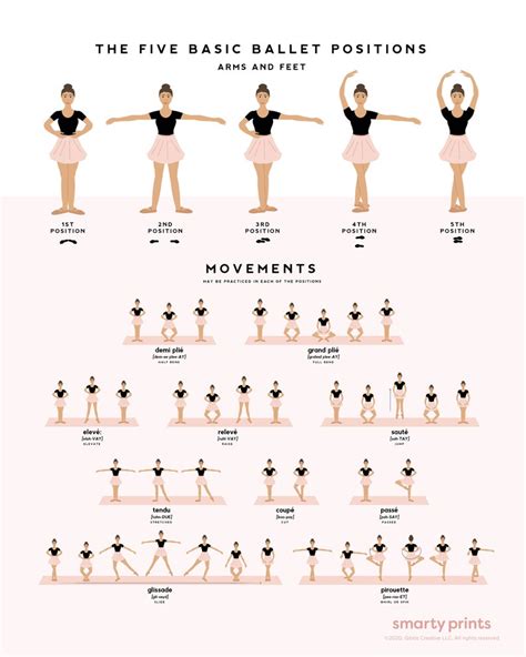 Buy Ballet Dance Poster Ballet Positions & Movements Ballerina Online in India - Etsy