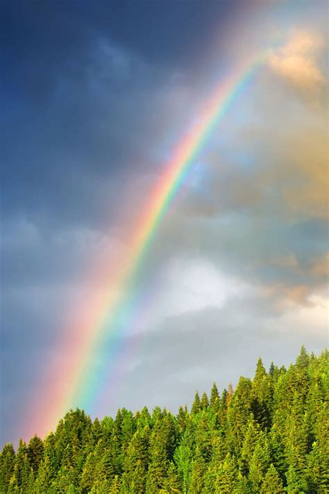 Rainbow Quotes