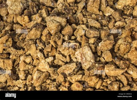 Fat with cracklings hi-res stock photography and images - Alamy