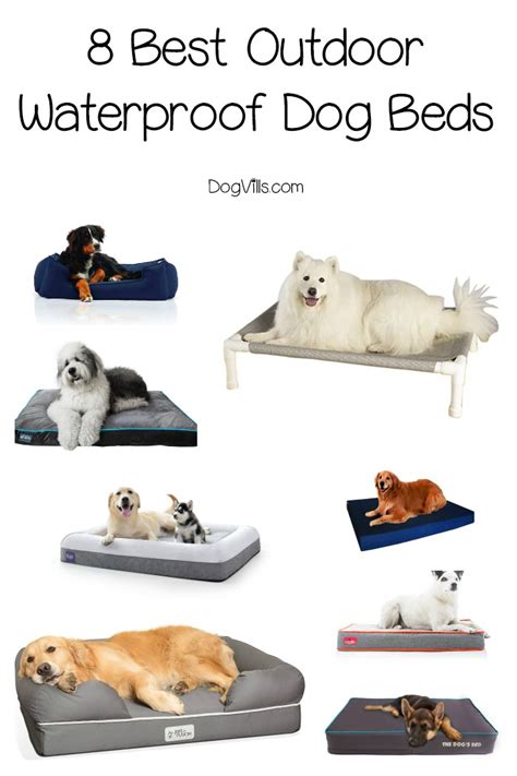 8 Best Outdoor Waterproof Dog Beds - DogVills