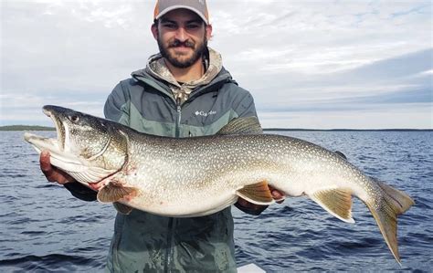 Top 7 Lures for Trophy Lake Trout in Canada | Arctic Lodges