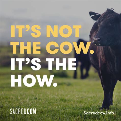 Sacred Cow