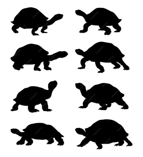 Premium Vector | Tortoise vector collection silhouette