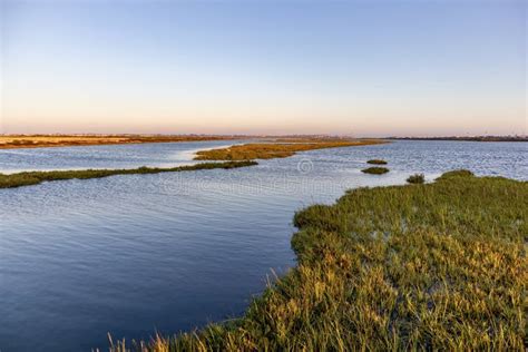 Sunset at Bolsa Chica Wetlands Stock Image - Image of nature, southern ...