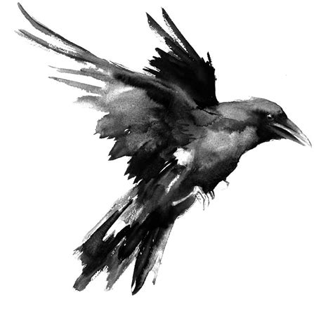 Flying Raven Painting by Suren Nersisyan