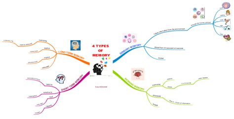 Types Of Memory Imindmap Mind Map Template Biggerplate | The Best Porn ...