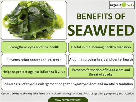 Benefits Of Seaweed